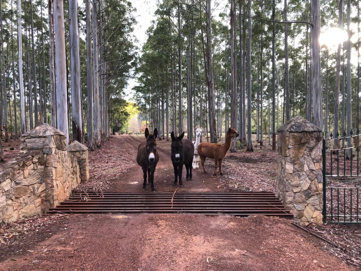 Clover Cottage Country Retreat Manjimup Exterior photo