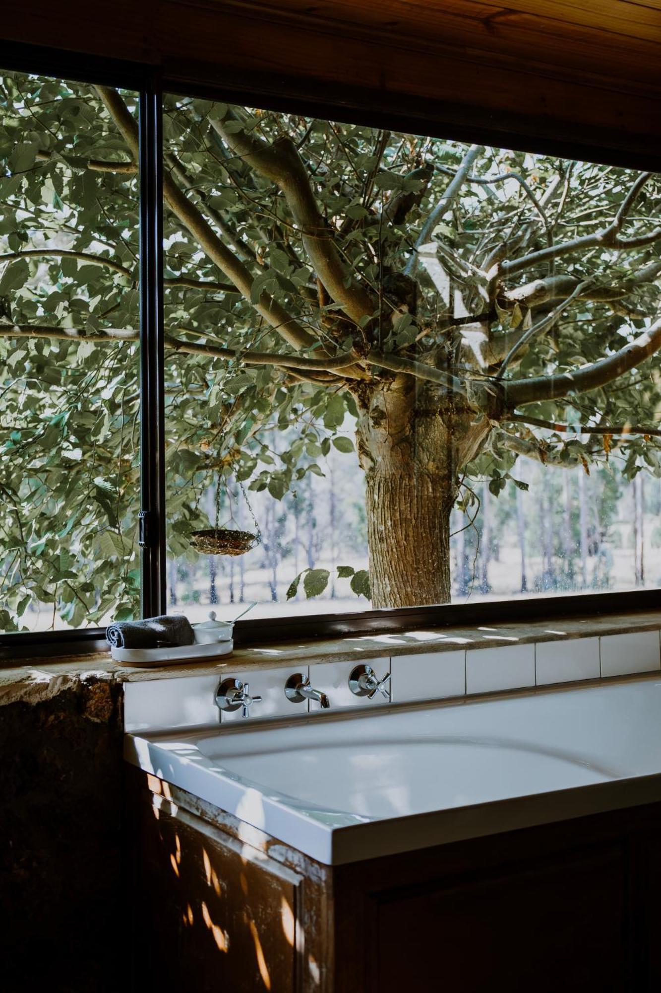 Clover Cottage Country Retreat Manjimup Exterior photo